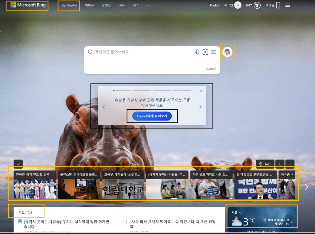MS 빙